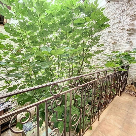  DYNAMIC IMMOBILIER : Maison / Villa | CLUNY (71250) | 137 m2 | 239 000 € 