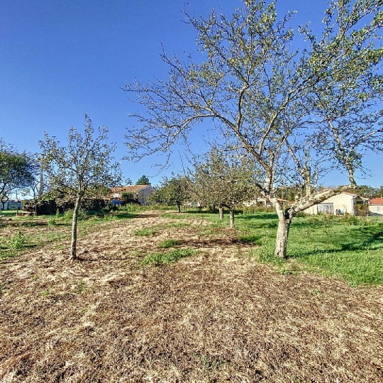  DYNAMIC IMMOBILIER : Terrain | LAIZE (71870) | 1 400 m2 | 69 500 € 