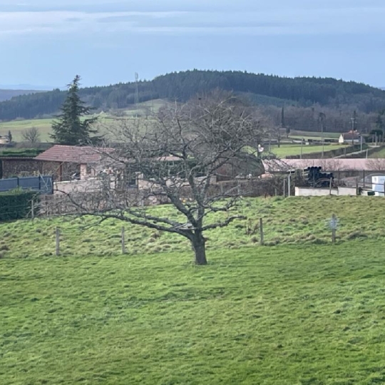  DYNAMIC IMMOBILIER : Terrain | BEAUBERY (71220) | 1 136 m2 | 22 000 &euro; 