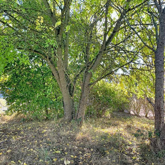  DYNAMIC IMMOBILIER : Maison / Villa | SALORNAY-SUR-GUYE (71250) | 80 m2 | 120 000 &euro; 