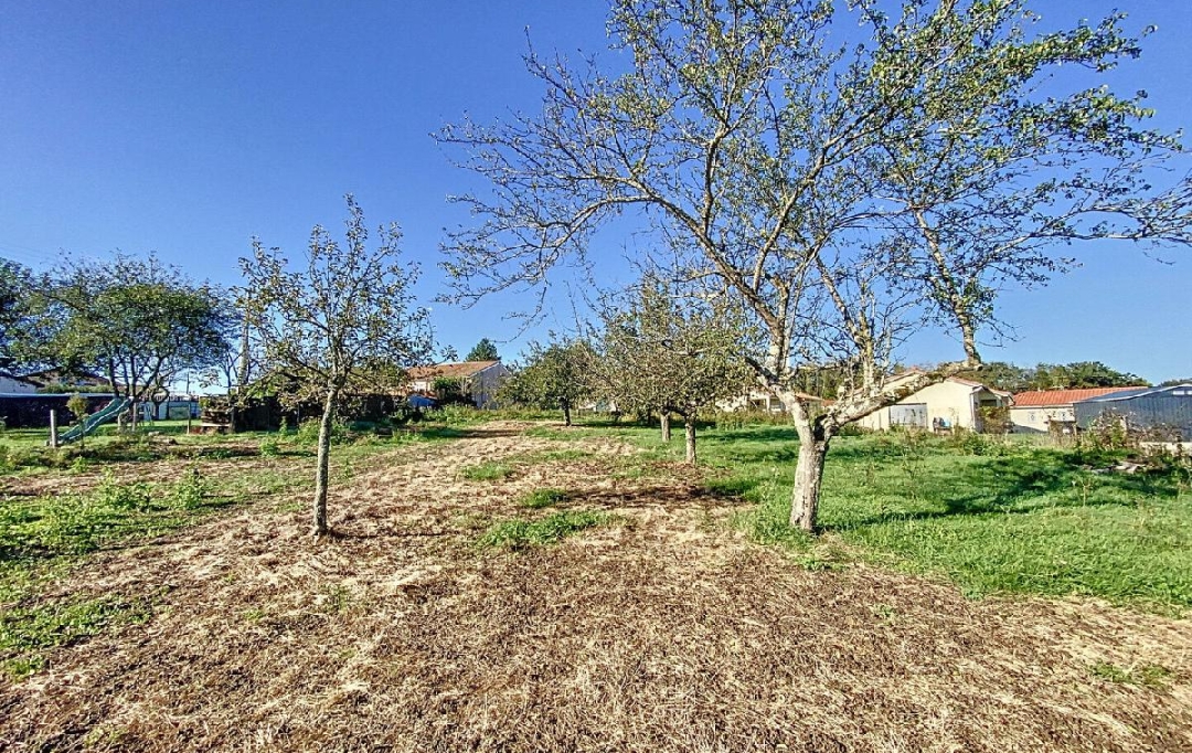DYNAMIC IMMOBILIER : Terrain | LAIZE (71870) | 1 400 m2 | 69 500 € 