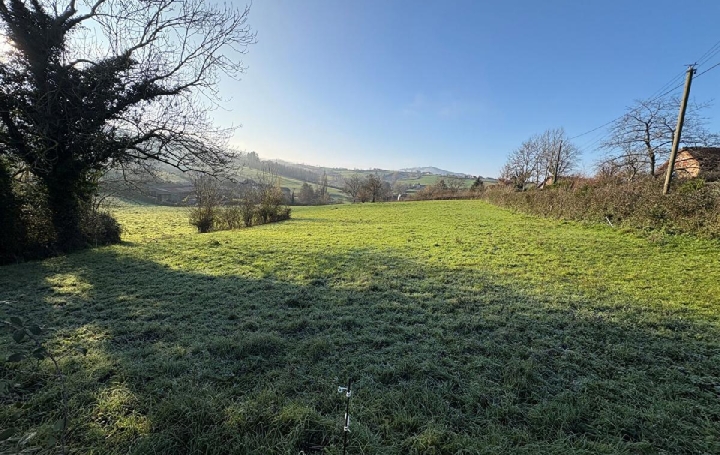  DYNAMIC IMMOBILIER Terrain | BUFFIERES (71250) | 1 350 m2 | 39 500 € 