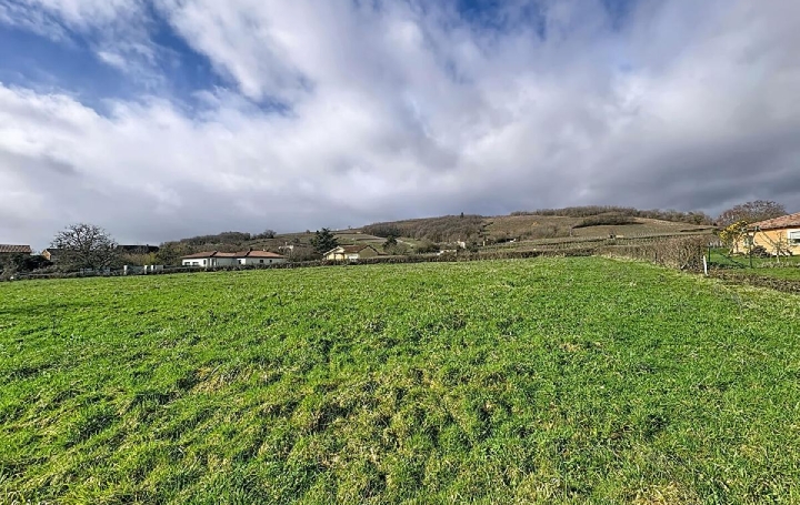  DYNAMIC IMMOBILIER Terrain | AZE (71260) | 1 000 m2 | 90 000 € 